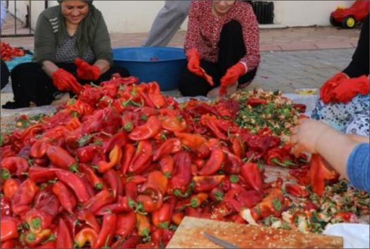 KIŞLIKLAR HAZIRLANIYOR