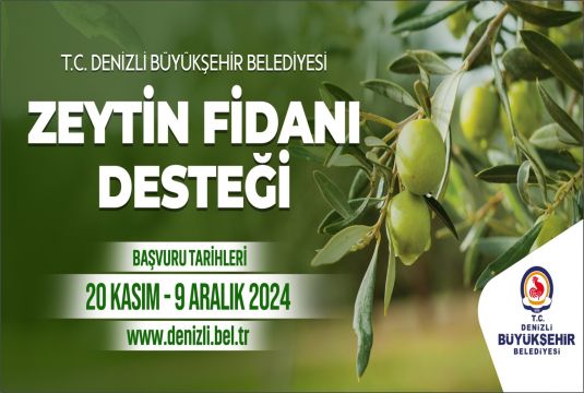 Büyükşehir’den Çiftçilere 50 Bin Zeytin Fidanı Online Müracaatlar Başladı